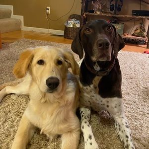 Meet your Posher, Stephen